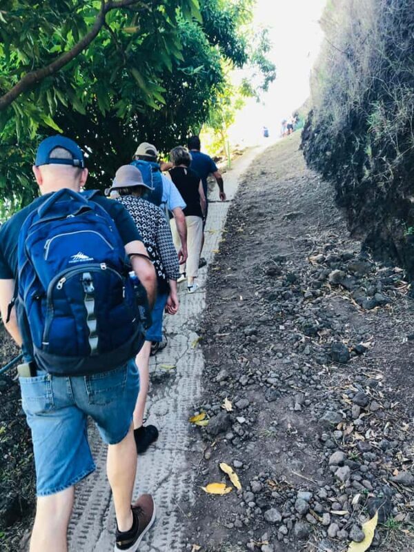 Moorea:4X4 safari excursion between land and sea with lunch - Relaxation and Shopping