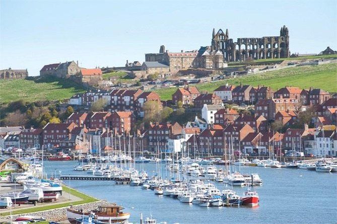 Moors, Whitby & The Yorkshire Steam Railway Day Trip from York - Your transport: small coach, WiFi, and the kind of comfort that matters