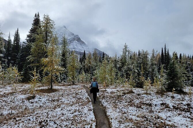 Moraine Lake: Larch Valley Hike, Departure from Banff - Final Thoughts: Is It Worth It?
