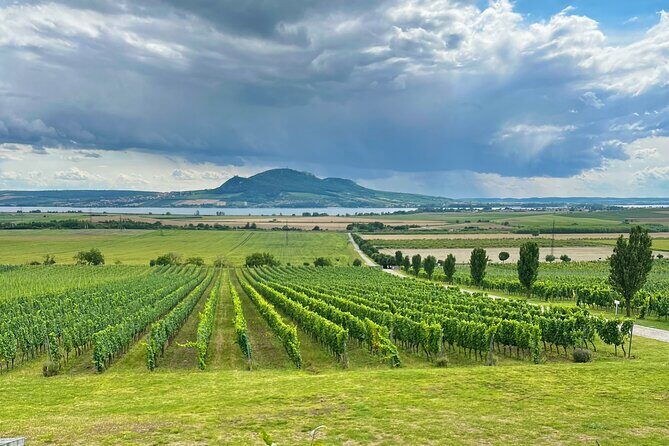 Moravian E-Bike & Wine Day Trip From Brno - Cost and Value