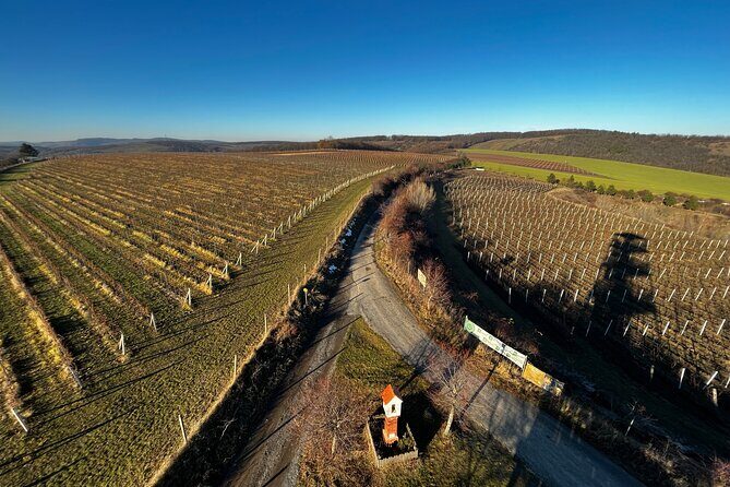 Moravian E-Bike & Wine Day Trip From Brno - Final Thoughts