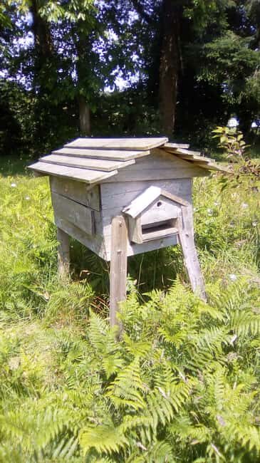 Morbihan: Beekeeping experience at Le Tour Du Parc - What You Can Expect from This Beekeeping Tour