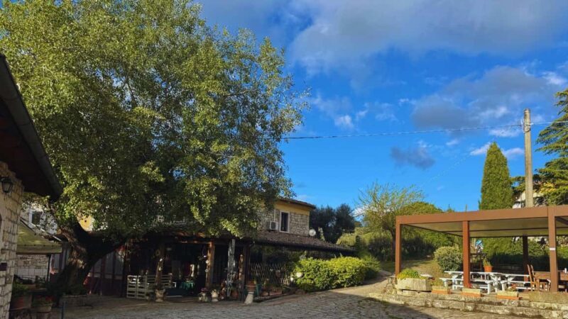 Morcone: Olive Oil Tasting and Cooking Class with Lunch - FAQ