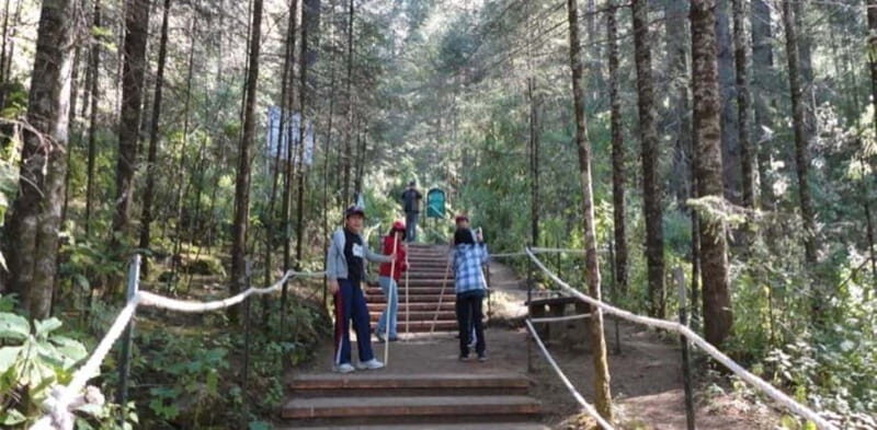 Morelia: Monarch Butterfly Tour - Key Points