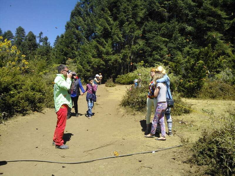 Morelia: Monarch Butterfly Tour - The Experience of Seeing the Monarchs