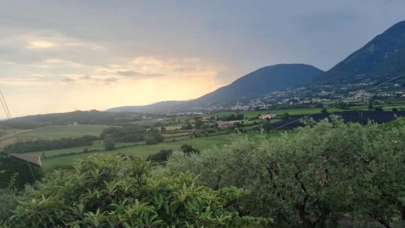 Morenic Hills: Guided Horse Tour and Aperitif at the Ranch - A Closer Look at the Experience