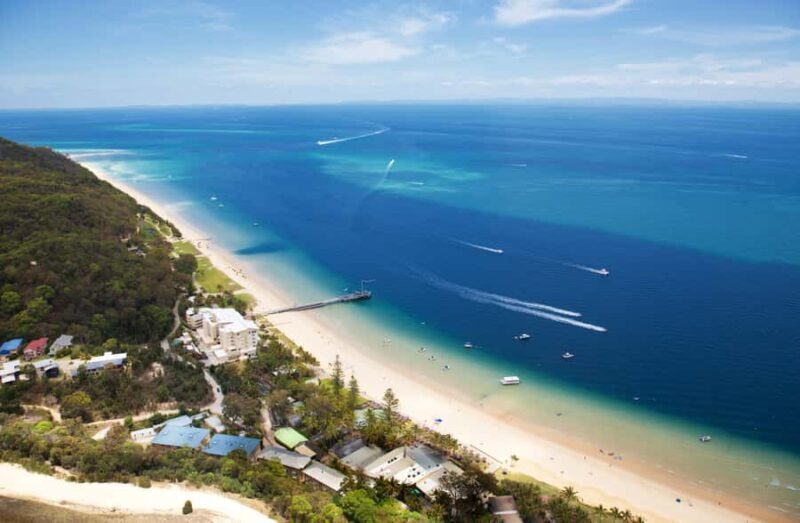 Moreton Island: Desert Safari Tour & Dolphin Viewing - What the Reviews Say
