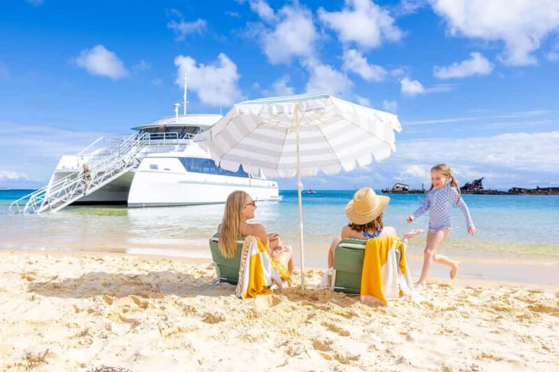 Moreton Island: Dolphin & Tangalooma Wrecks Snorkel Cruise - Overview: What the Tour Offers