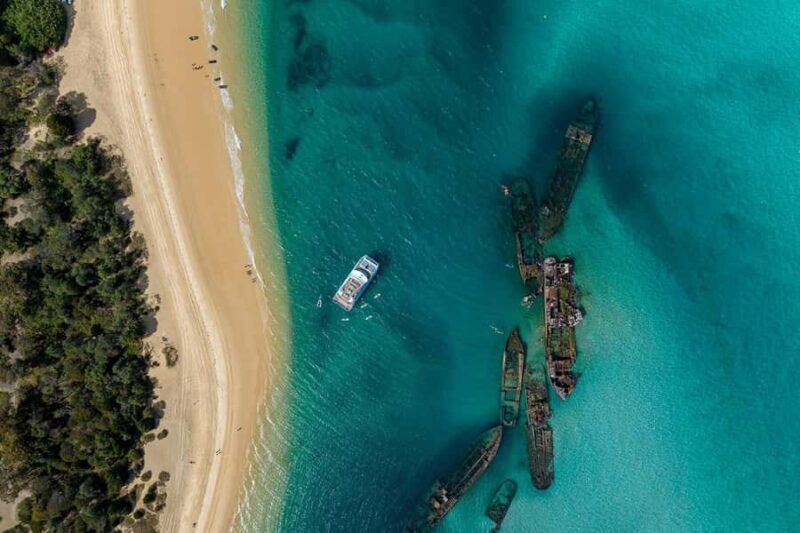 Moreton Island: Dolphin & Tangalooma Wrecks Snorkel Cruise - What It Feels Like: Experience and Atmosphere