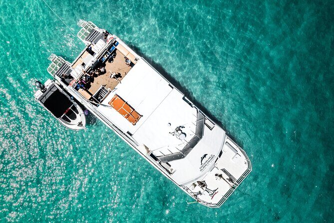 Moreton Island Eco Marine Safari Cruise and Snorkel - What Makes This Tour Stand Out?