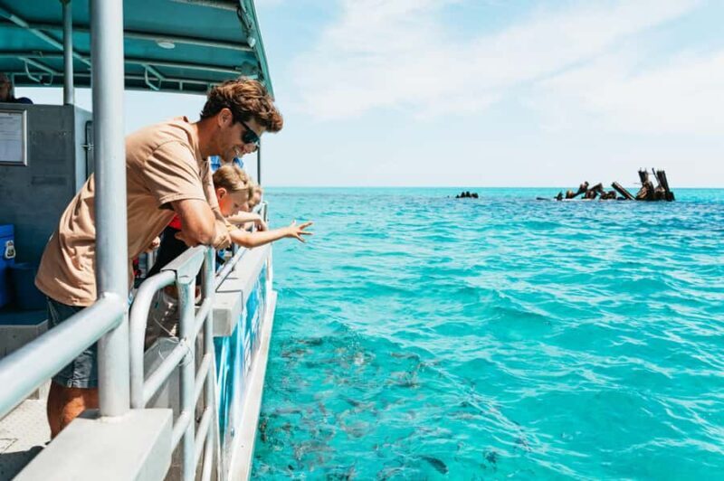 Moreton Island: Marine Discovery Cruise & Dolphin Feeding - Key Points