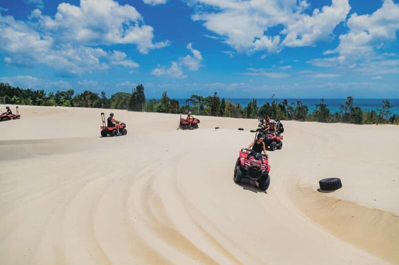 Moreton Island: Tangalooma ATV Quad Bike and Dolphin Viewing - Key Points