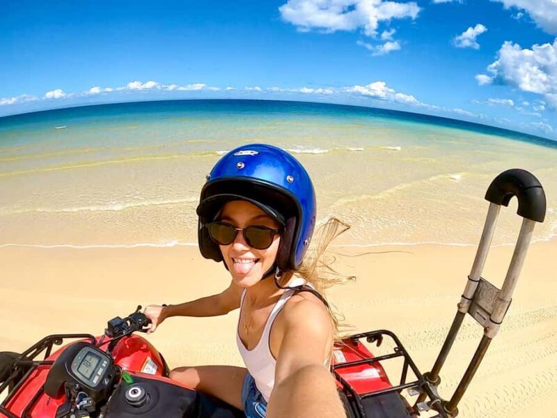 Moreton Island: Tangalooma ATV Quad Bike & Dolphin Feeding - An In-Depth Look at What You’ll Experience