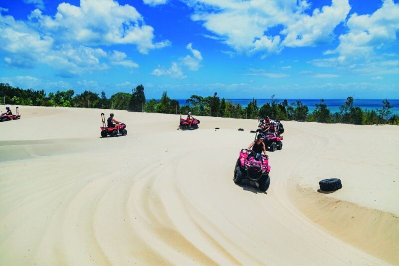 Moreton Island: Tangalooma ATV Quad Bike & Dolphin Feeding - Final Verdict: Is It Worth It?