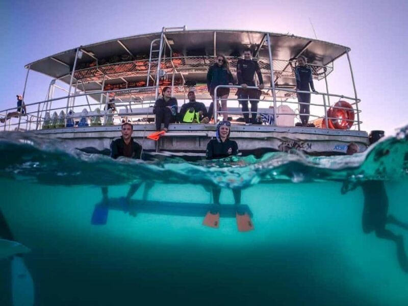 Moreton Island: Tangalooma Day Trip with Snorkeling Tour - Arriving at Moreton Island: The Journey Begins