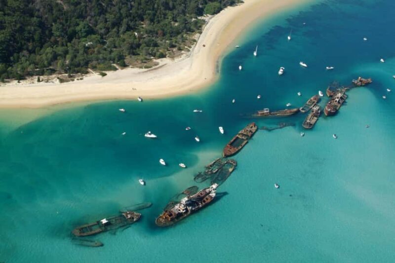 Moreton Island: Tangalooma Day Trip with Snorkeling Tour - Returning to Brisbane
