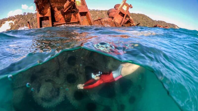 Moreton Island: Tangalooma Snorkeling Tour & Dolphin Feeding - Pricing and Value