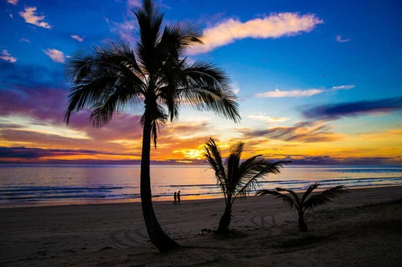 Moreton Island: Tangalooma Snorkeling Tour & Dolphin Feeding - The Sum Up