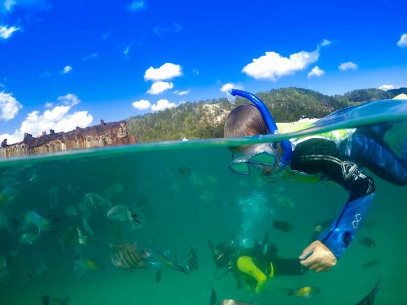 Moreton Island: Tangalooma Snorkelling with Dolphin Viewing - Practical Considerations