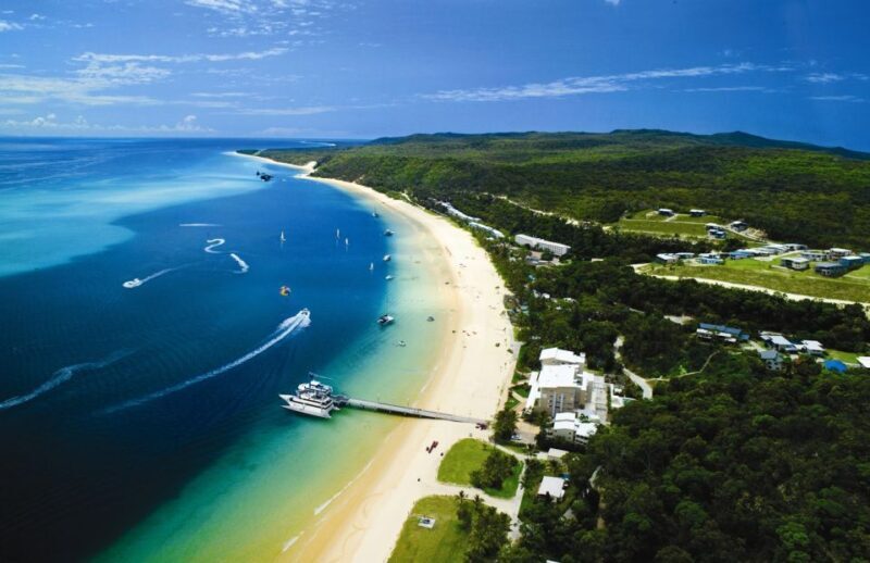 Moreton Island: Tangalooma Whale Watching & Dolphin Feeding - Relax and Explore Post-Whale Watching