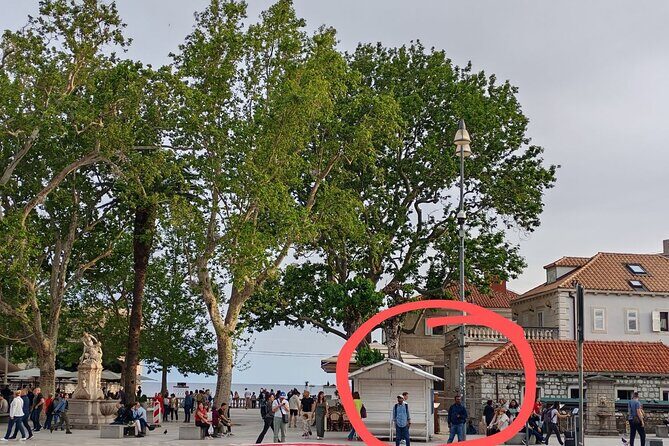 Morning and Day Tours - Sea Kayaking & Snorkelling Dubrovnik - Who Is This Tour Perfect For?