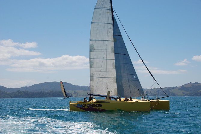 Morning Glory Chilled out Sail (3.5hrs) - Final Thoughts