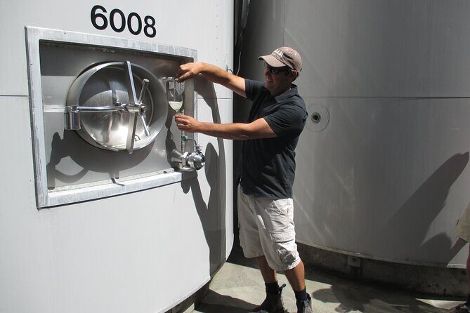 Morning Guided with Afternoon Self-Guided Biking Wine Tour - An In-Depth Look at the Tour Experience