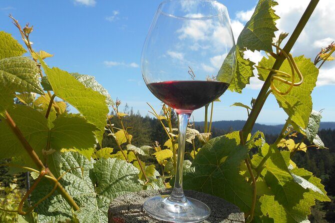 Morning Half Day Carmel Valley Wine Tasting Tour - A Closer Look at the Itinerary