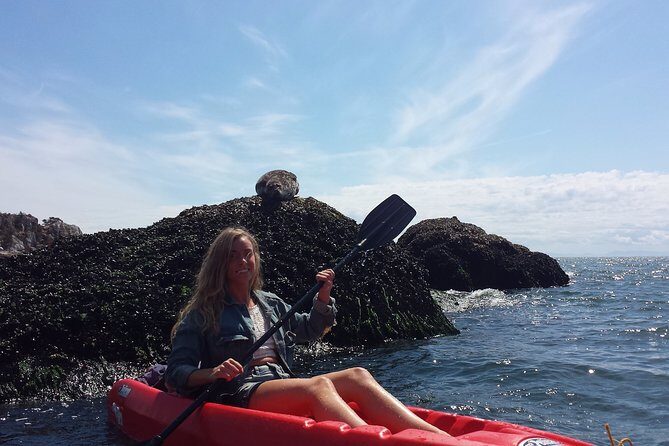 Morning Kayak & Seal Cruise - An Honest Look at the Morning Kayak & Seal Cruise