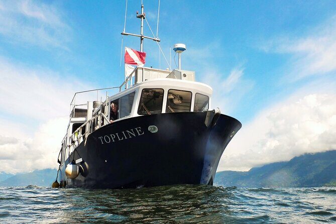 Morning Kayak & Seal Cruise - Final Thoughts