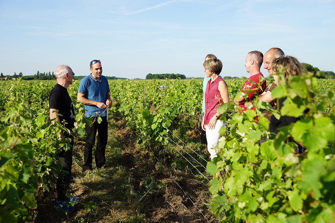 Morning - Loire Valley Wine Tour & Food Pairing, Vouvray - Who Should Consider This Tour?