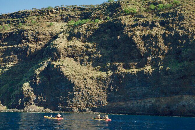 Morning Magic Kayak and Snorkel Adventure in Kealakekua Bay - The Experience in Detail