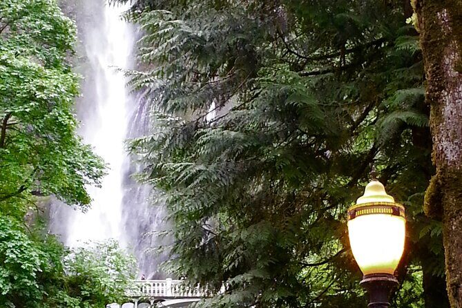Morning Multnomah Falls and Gorge Waterfalls Tour - How the Tour Is Praised