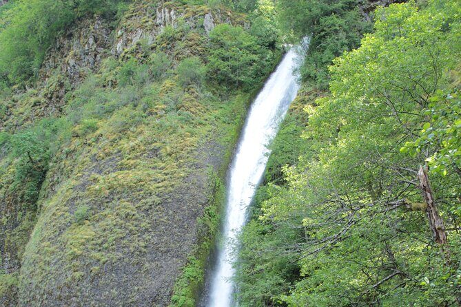 Morning Multnomah Falls and Gorge Waterfalls Tour - Potential Drawbacks