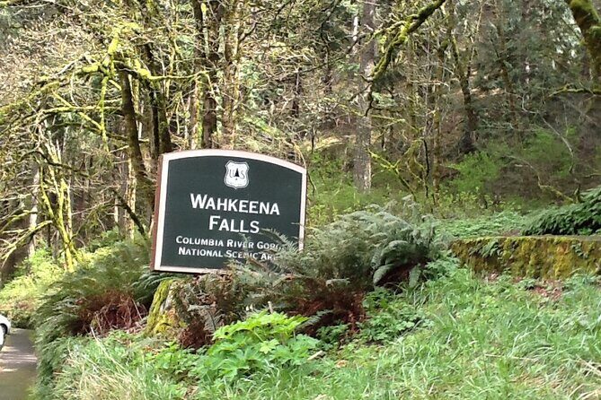 Morning Multnomah Falls and Gorge Waterfalls Tour - Who Is This Tour Best For?