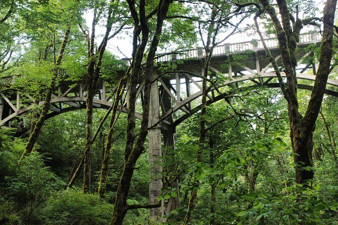 Morning Multnomah Falls and Gorge Waterfalls Tour - Final Thoughts