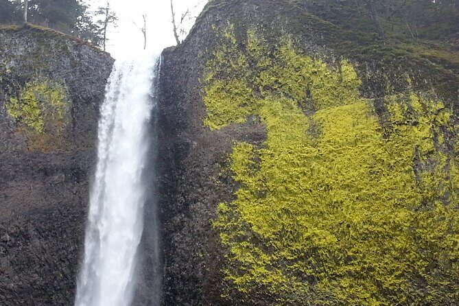 Morning Multnomah Falls and Gorge Waterfalls Tour - FAQs About the Tour
