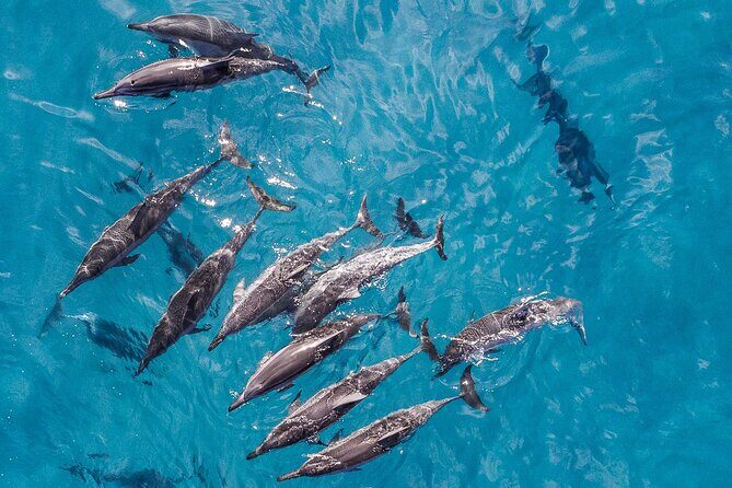 Morning Na Pali Adventure & Snorkel Tour (Hanalei Departure) - Who Should Consider This Tour?