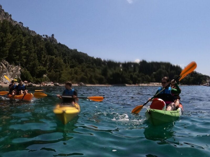 Morning Split Sea Kayaking Tour - The Practical Details