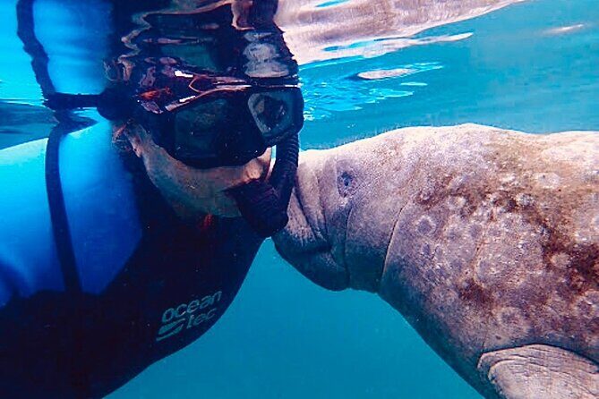 Morning Swim and Snorkel with Manatees-Guided Crystal River Tour - Frequently Asked Questions