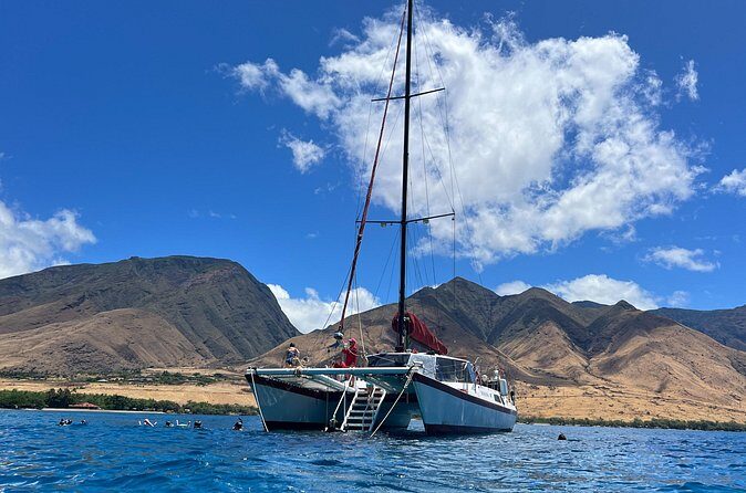 Morning Turtle Town Snorkel at Coral Gardens - The Value of This Experience