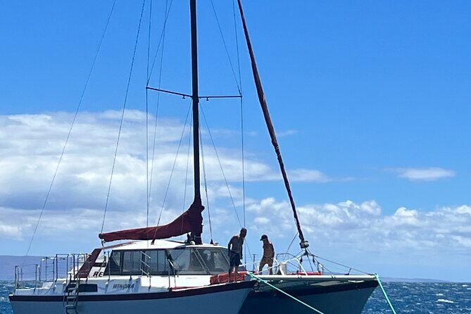 Morning Turtle Town Snorkel at Coral Gardens - Who Would Love This Tour?