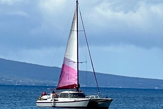 Morning Turtle Town Snorkel at Coral Gardens - Final Thoughts