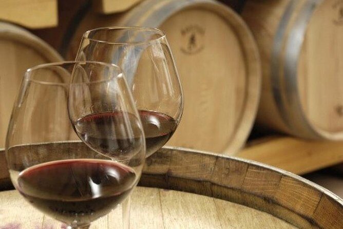 Morning Wine Tour to Chateauneuf du Pape from Avignon - Final Thoughts: Is This Tour Right for You?