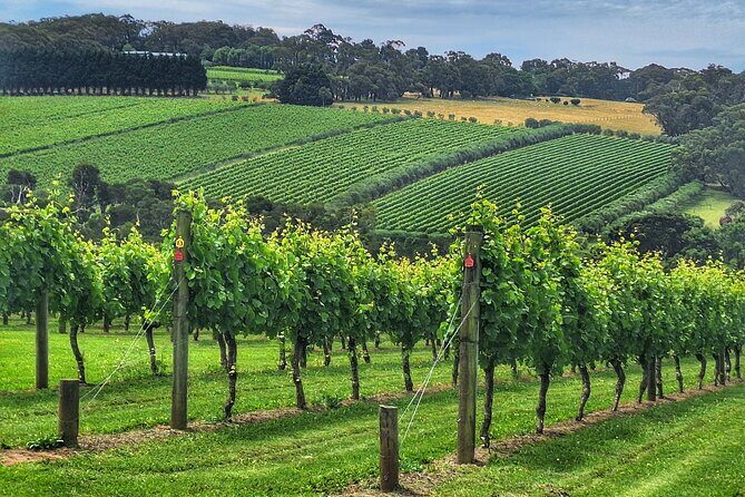 Mornington Peninsula Day Tour. Your Day Your Way. Your group only - Key Points