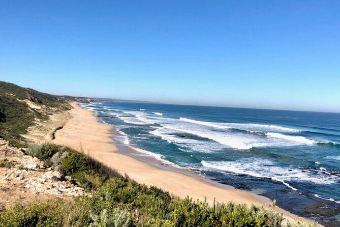 Mornington Peninsula Day Tour. Your Day Your Way. Your group only - Final Thoughts