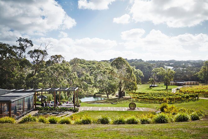 Mornington Peninsula Luxury Lunch, Wine Tasting & Pt Leo Art Walk - Who Will Love This Tour?
