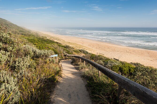 Mornington Peninsula Private Day Tour - Who Is This Tour Best For?