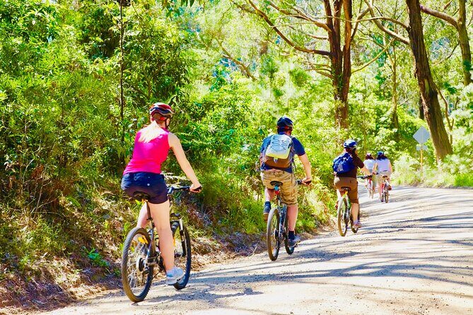 Mornington Peninsula Self-Guided Bike Tour | Food & Wine Region - Real Traveler Feedback: What People Are Saying