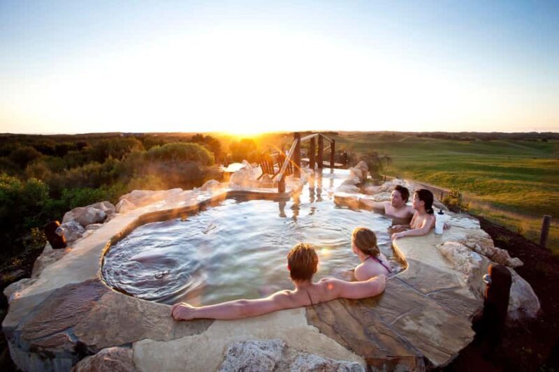 Mornington Peninsula Tour: wildlife, wine, art & hot springs - Key Points